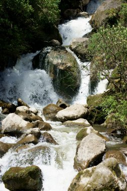 Waterfall Tumbles Down an Ecuador Hillside clipart