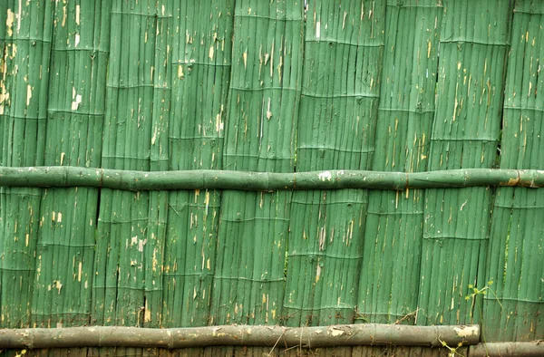 Peeling grön bambu staket — Stockfoto