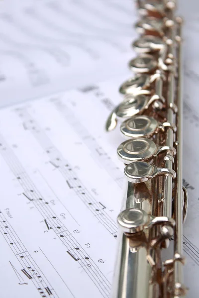 Kniha hudba a flétna — Stock fotografie