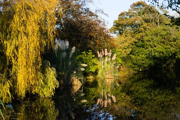 stock image Canal Reflections