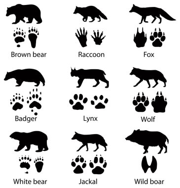 Animals silhouettes and trails clipart