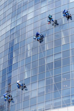 Five workers washing windows in a modern office building clipart