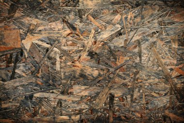 soyut ahşap arka plan