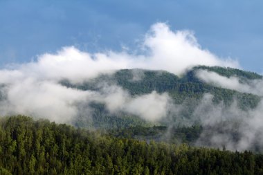 witte wolken over groene heuvels