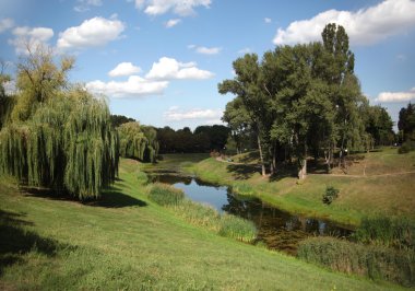 yeşil park ve havuz peyzaj