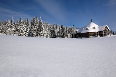 Ski resort ev