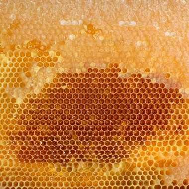 Yellow honeycomb full of honey clipart