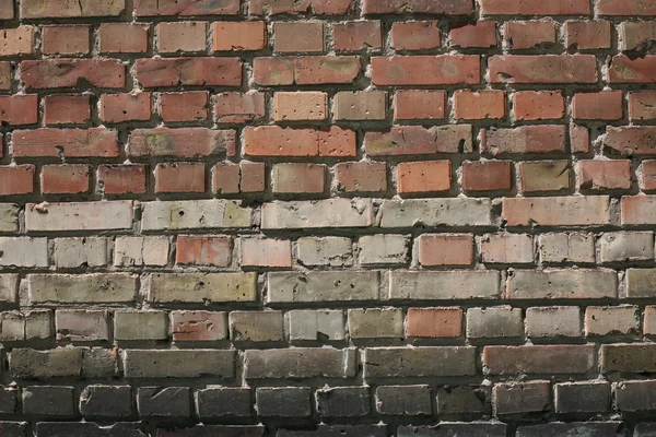 Muro di mattoni ordinario — Foto Stock
