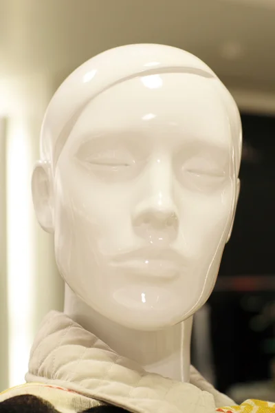 stock image Store Mannequin