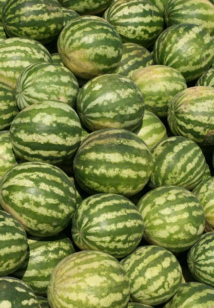 Watermeloenen in een markt — Stockfoto