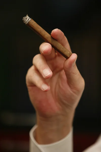 มือผู้ชายถือซิการ์ — ภาพถ่ายสต็อก