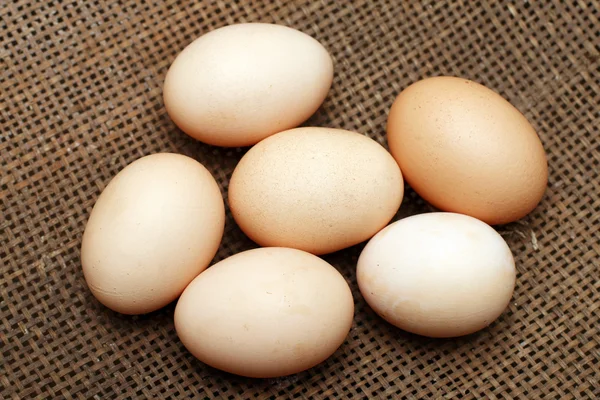 Six brown eggs — Stock Photo, Image