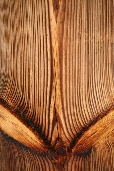 Parede de madeira de pinheiro — Fotografia de Stock