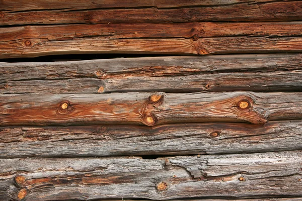 Brown pine tree logs texture — Stock Photo, Image