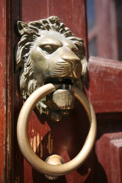 Pukanie do drzwi głowy lwa — Zdjęcie stockowe