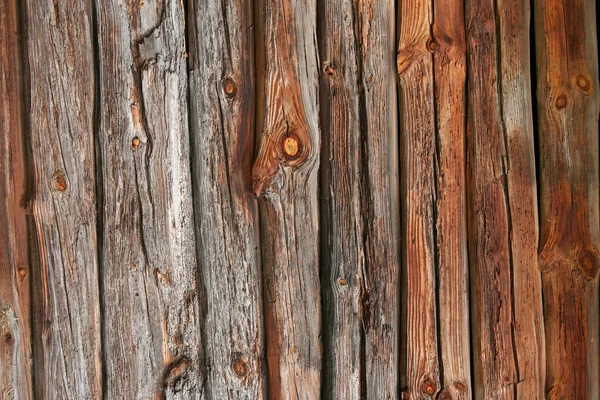 Wand aus braunen Kiefern — Stockfoto