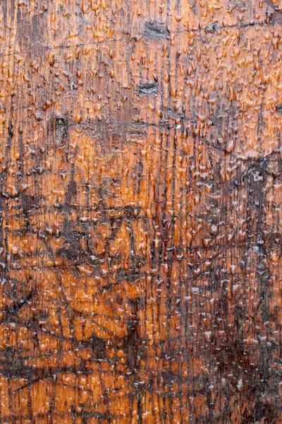 Parede de madeira castanha resistente às intempéries com gotas de chuva — Fotografia de Stock