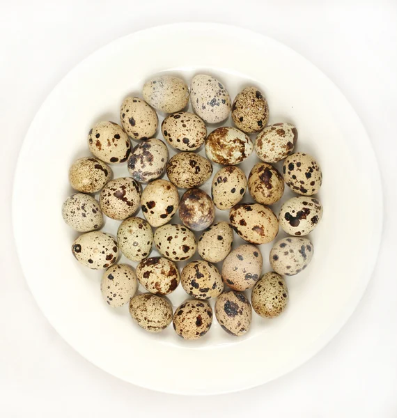 Quail eggs on white plate — Stock Photo, Image