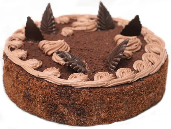 Truffle cake — Stock Photo, Image