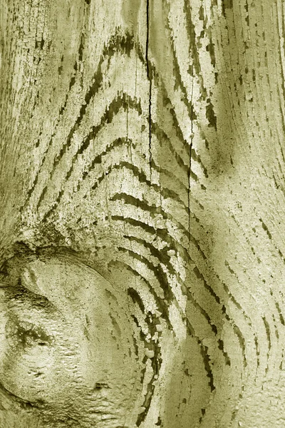 Alte Holzmauer — Stockfoto