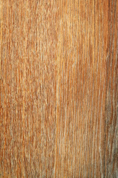 Vecchio sfondo della parete di quercia — Foto Stock