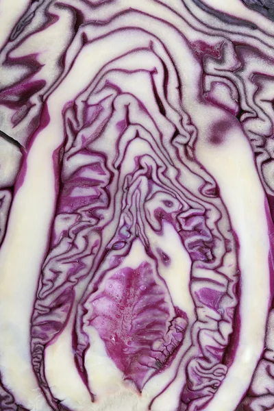 Sliced red cabbage closeup as texture background — Zdjęcie stockowe
