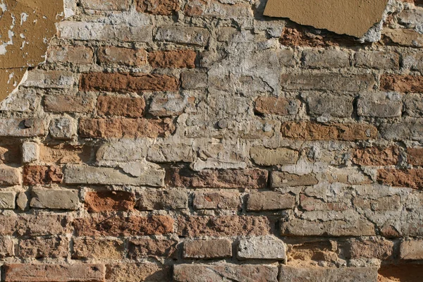 Grunge stucco wall background — Stock Photo, Image