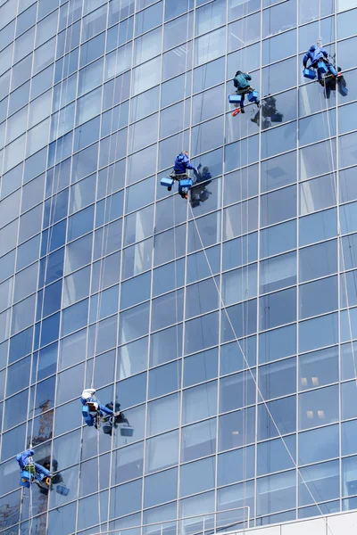 Cinco trabalhadores lavando janelas em um prédio de escritórios moderno — Fotografia de Stock