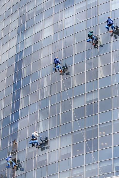 5 労働者の窓現代オフィスビルを洗う — ストック写真