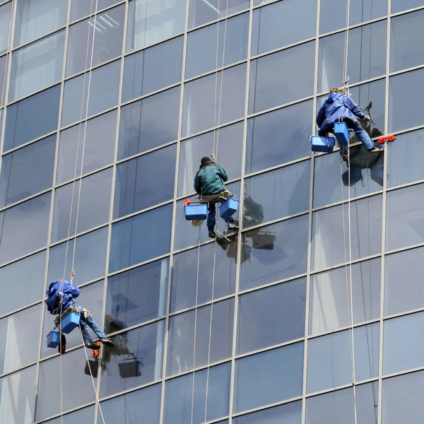 Workers washing windows in the office building — Stock Photo, Image