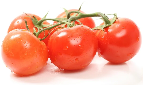 stock image Red tomatoes isolated on white