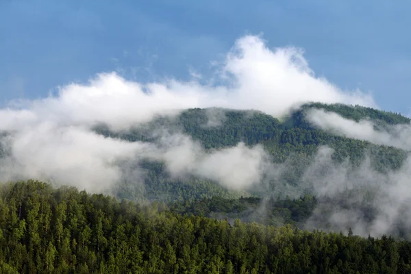 stock image White clouds over green hills