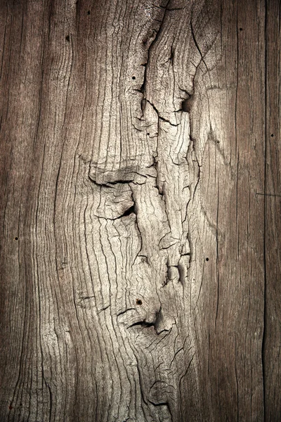 木造制振壁 — ストック写真