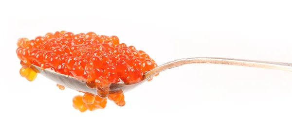 Caviar rojo en cuchara aislado sobre fondo blanco — Foto de Stock