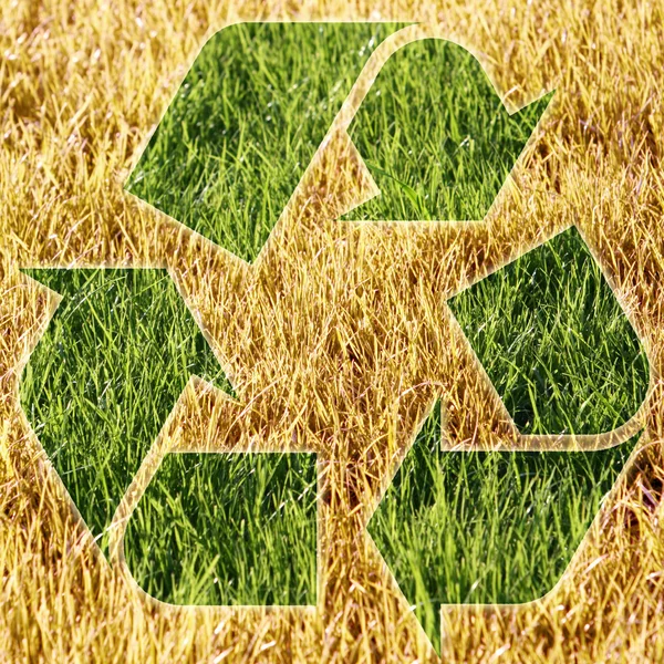 stock image Dry yellow grass under recycling sign