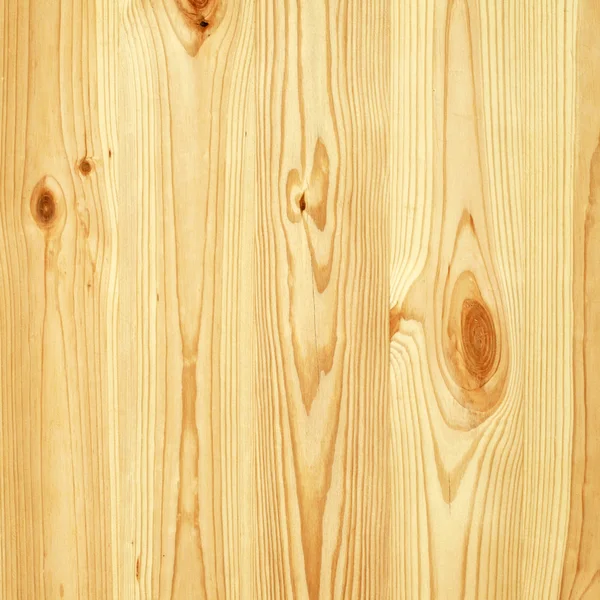 Pine tree wall texture — Stock Photo, Image
