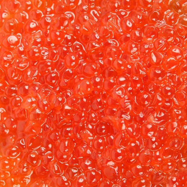Textura caviar vermelha — Fotografia de Stock