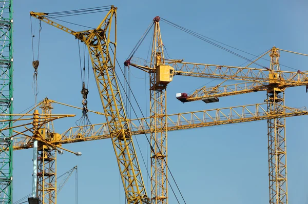 Six construction cranes — Stock Photo, Image
