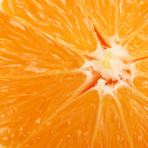 Sfondo arancio fresco — Foto Stock