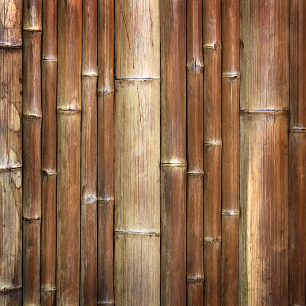 Latar belakang bambu alami — Stok Foto