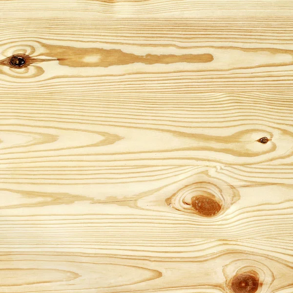 Natural pine tree wall texture — Stock Photo, Image