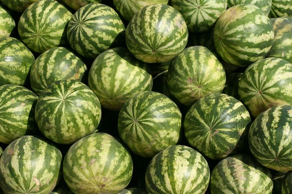 Rijpe grote water-meloenen — Stockfoto