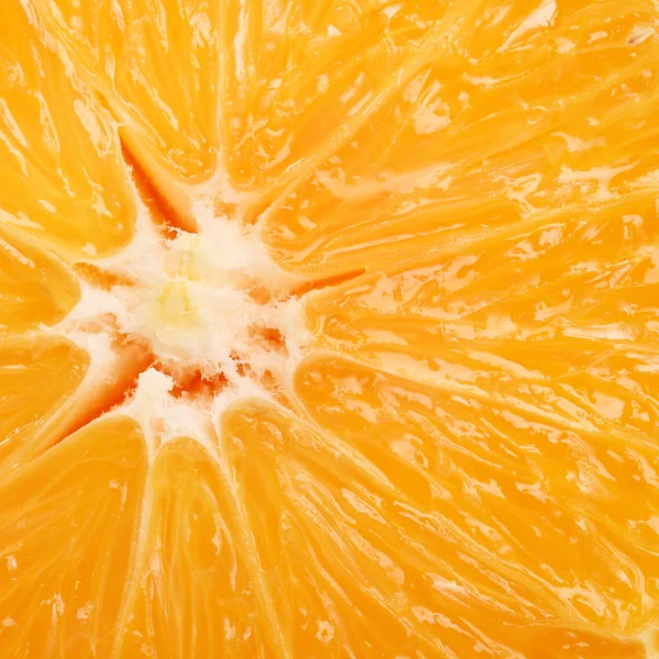 Fondo naranja fresco — Foto de Stock