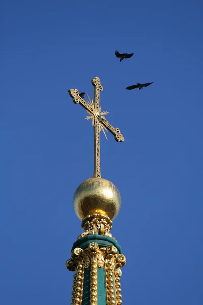 stock image Black crows over the cross