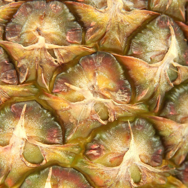 Ananas Meyve doku arka planı için
