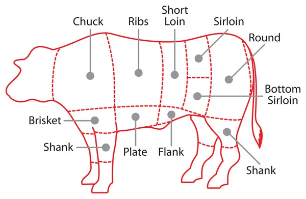 stock image Beef chart poster