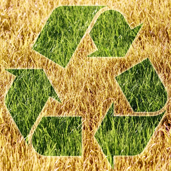 Trockenes gelbes Gras unter Recyclingschild — Stockfoto