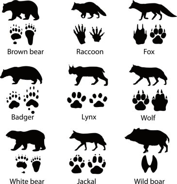 Animals and its tracks. Vector illustration clipart