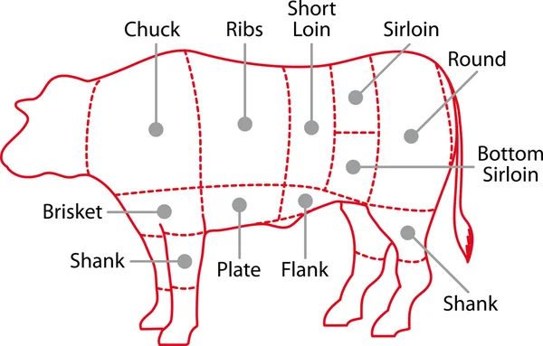 Stock vector Beef chart