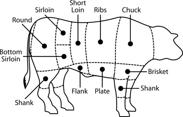 stock vector Beef vector chart